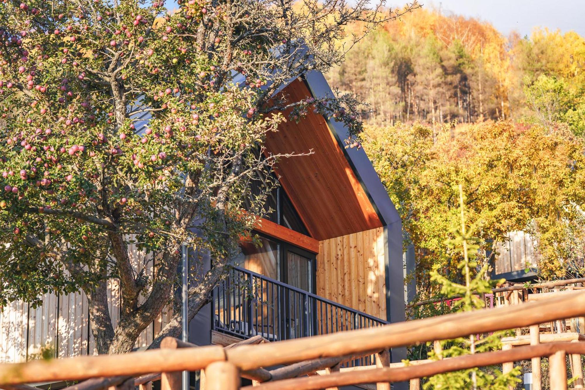 Qazaq Auyl Eco Hotel Almaty Exterior photo
